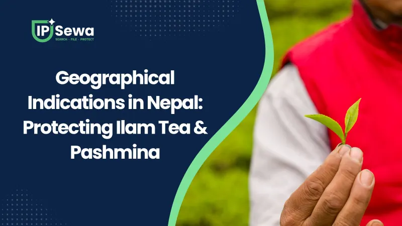 Geographical Indications in Nepal: Protecting Ilam Tea & Pashmina