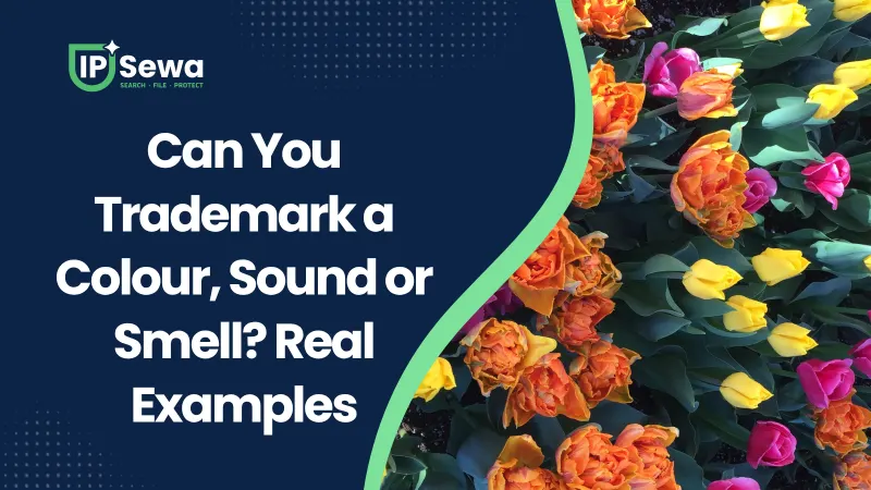 Can You Trademark a Colour, Sound or Smell? Real Examples