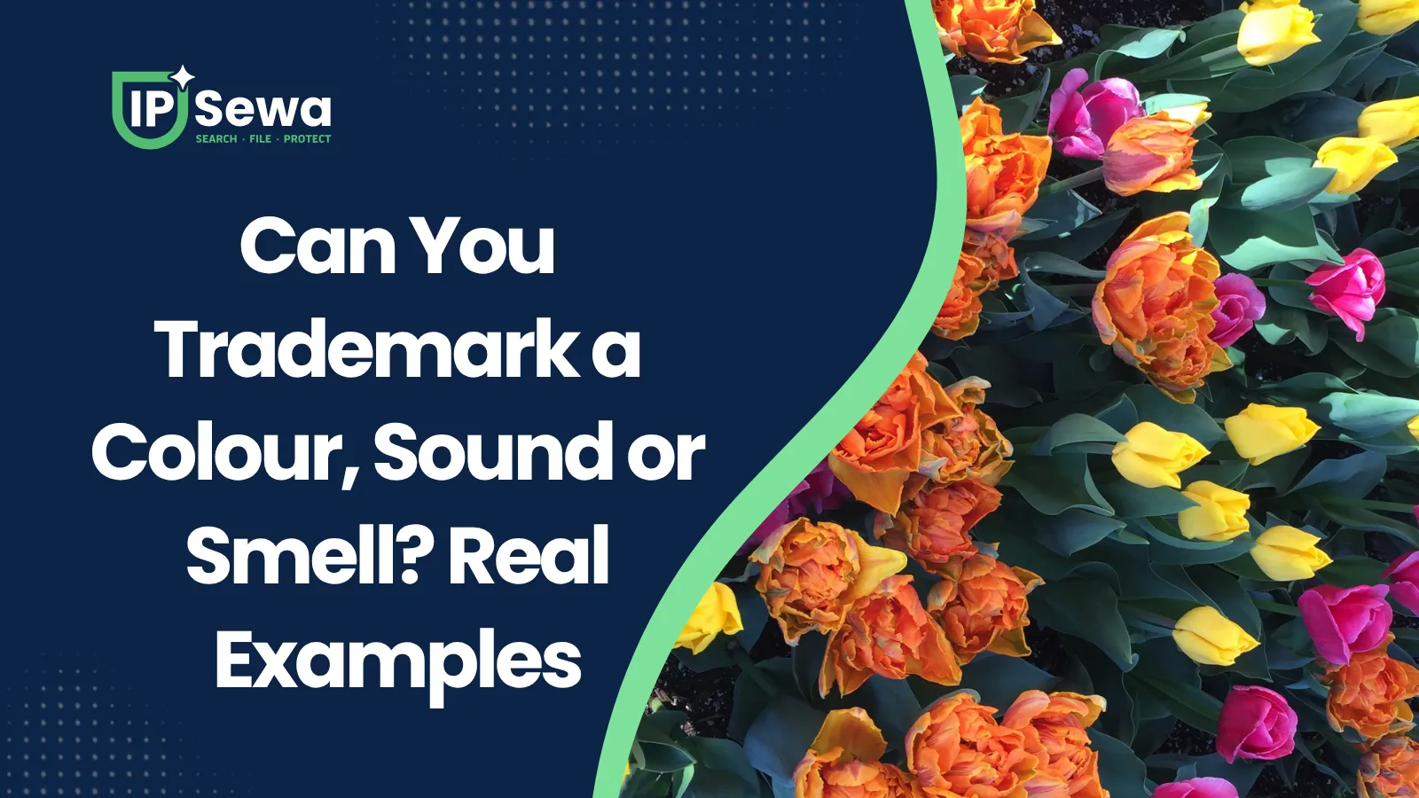 Can You Trademark a Colour, Sound or Smell? Real Examples
