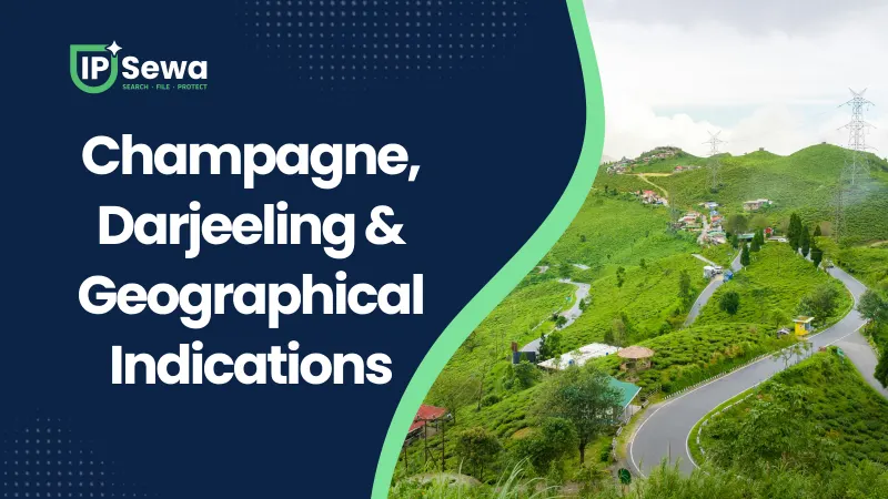 Champagne, Darjeeling & Geographical Indications