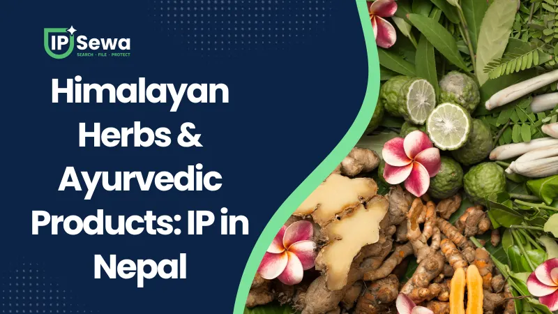 Himalayan Herbs & Ayurvedic Products: IP in Nepal