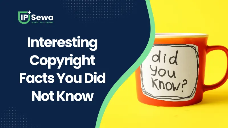 Interesting Copyright Facts You Did Not Know