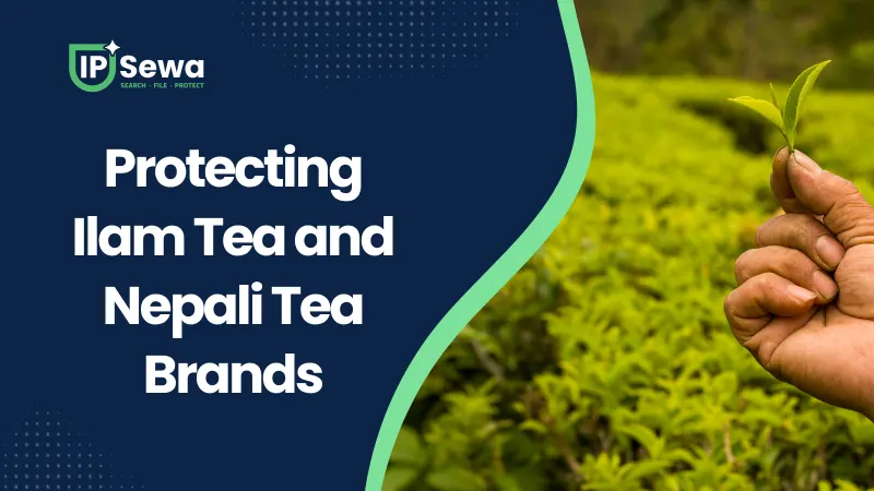 Protecting Ilam Tea and Nepali Tea Brands
