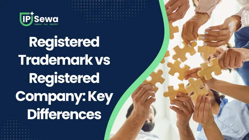 Registered Trademark vs Registered Company: Key Differences