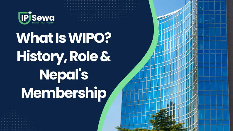 What Is WIPO? History, Role & Nepal's Membership