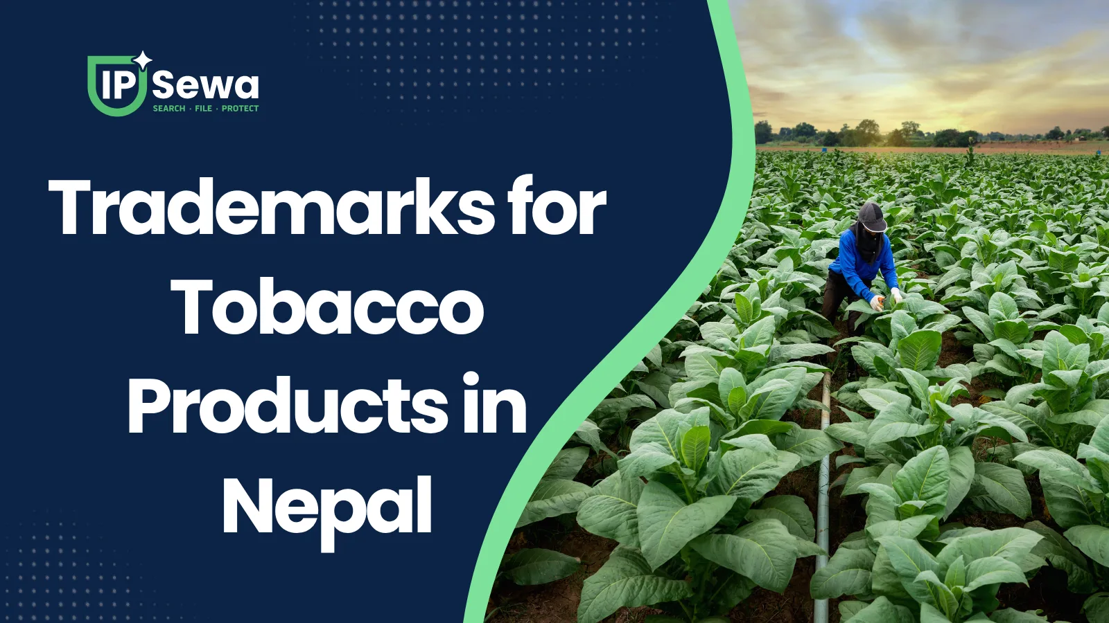 Trademarks for Tobacco Products in Nepal
