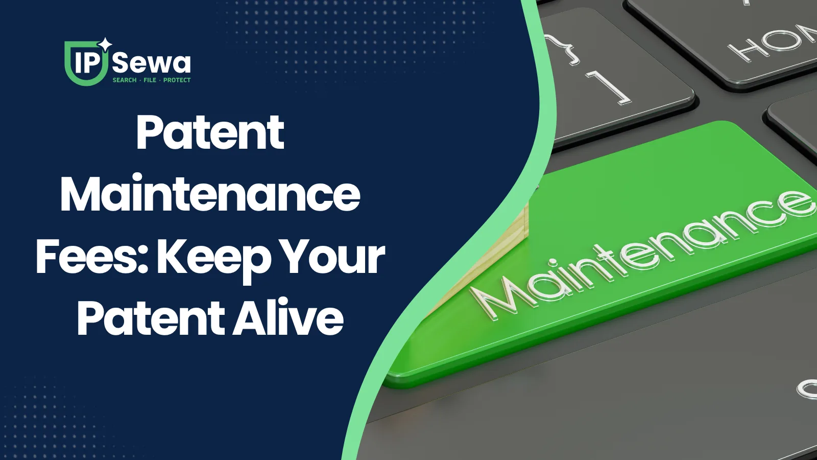 Patent Maintenance Fees: Keep Your Patent Alive