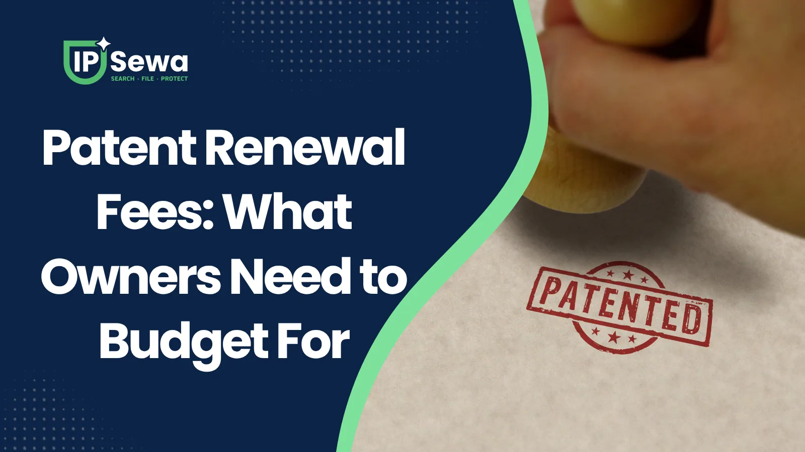 Patent Renewal Fees: What Owners Need to Budget For
